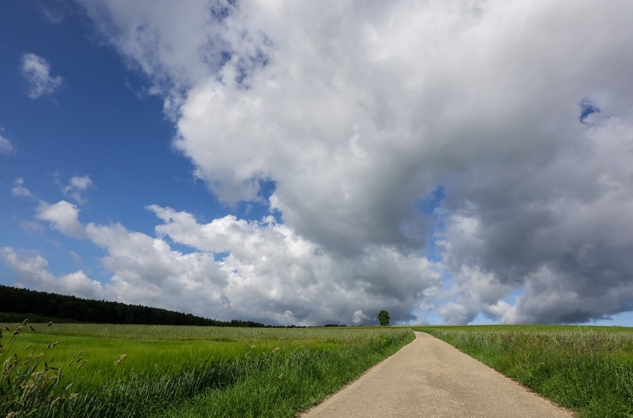 A warm Wednesday, with the chance for rain returning tomorrow