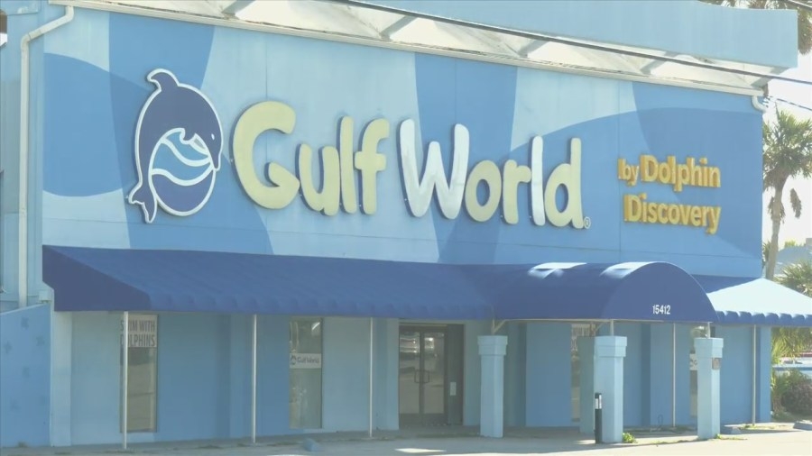 Bankruptcy Attorney breaks down what the filing could mean for Gulf World
