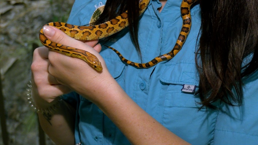 Earth Day Expo at E.O. Wilson Center promotes eco-friendly living