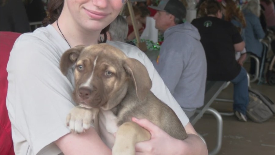 Lucky Puppy Rescue hosts 15th annual 'Spayghetti Luncheon'