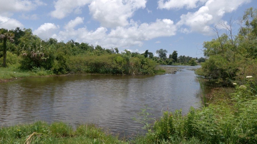 Springfield works to restore their floodplain