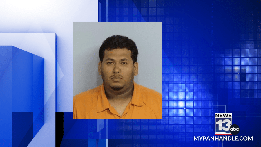 Walton County deputies arrests owner for dog left in hot car
