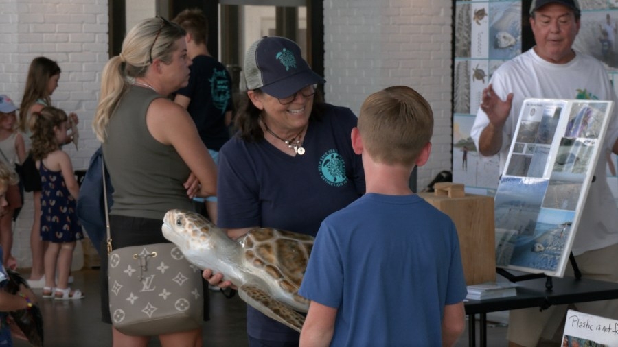 South Walton Turtle Watch teaches youth about sea turtle care