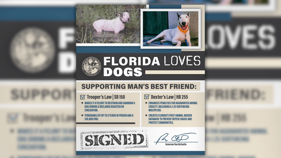 Governor Ron DeSantis signs two bills to help ‘stand by man's best friend'