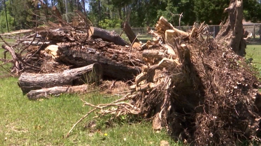 U.S. Congressman introduces bill to hold FEMA accountable