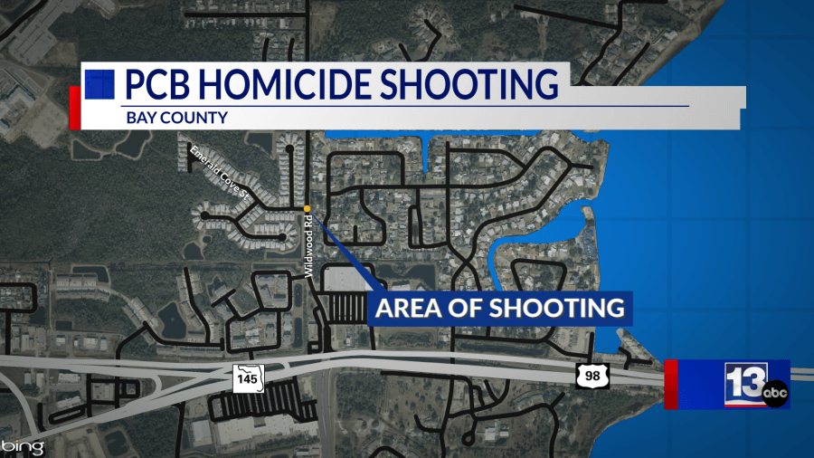 Teen charged with murder for shooting a Lyft driver in Panama City Beach