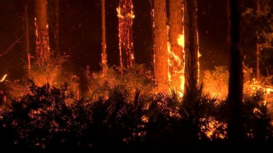 Mussett Bayou wildfire: 5 years later