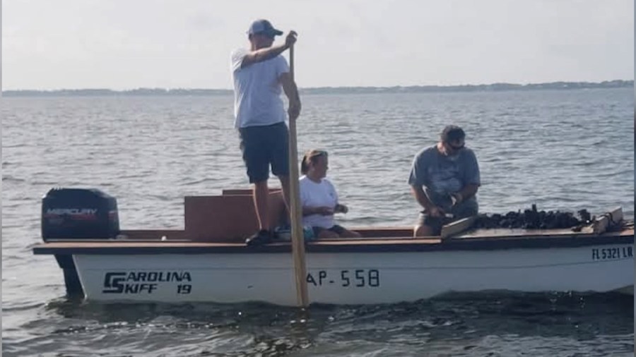 FWC creates proposal for Apalachicola oyster harvesting return in October