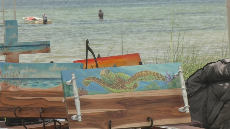 Sea turtle festival in Port St. Joe focuses on safety and conservation