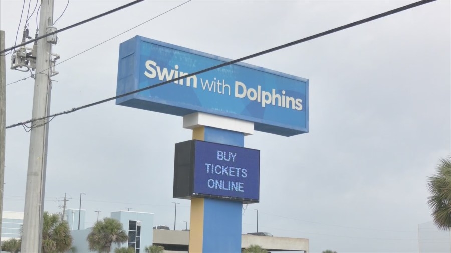 Gulf World bankruptcy trial sidetracked by armed stand off in Cancun
