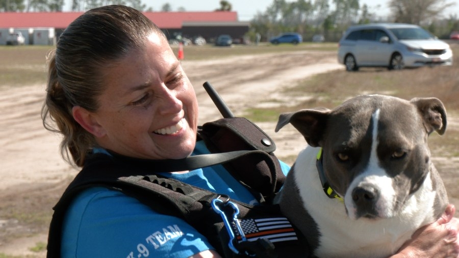 Bay County Search and Rescue K-9's begin annual training seminar