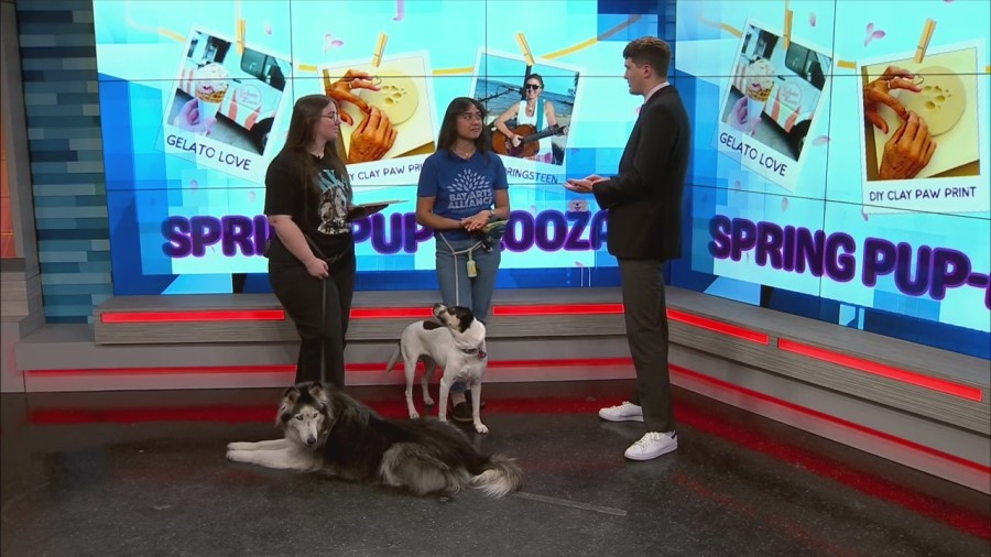 Downtown Panama City hosts free Spring Pup-alooza for pet owners