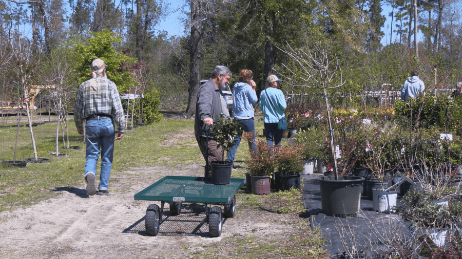 Sweet Baby's Farm grows their love of gardening with 'Spring Fling' event