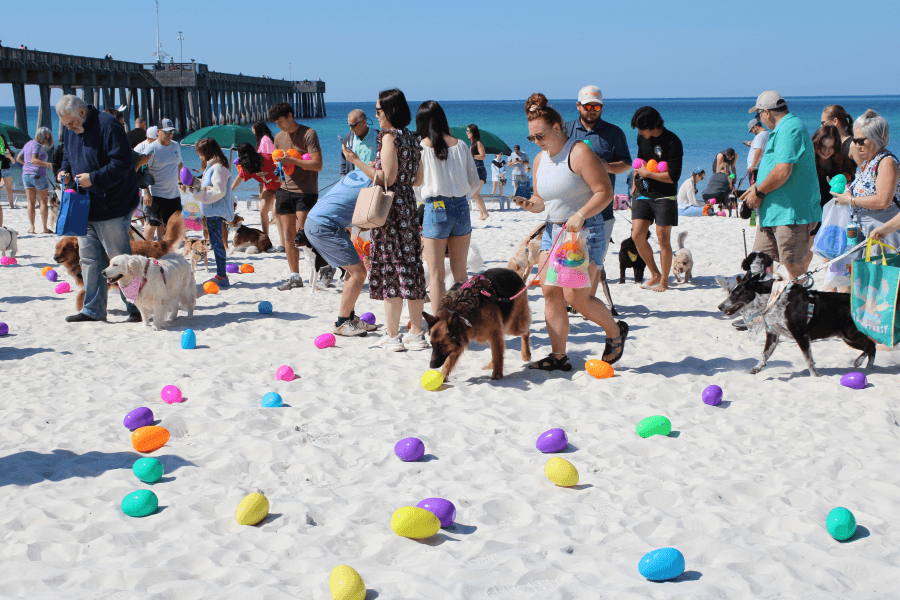 Dogs hunt for Easter eggs in Panama City Beach