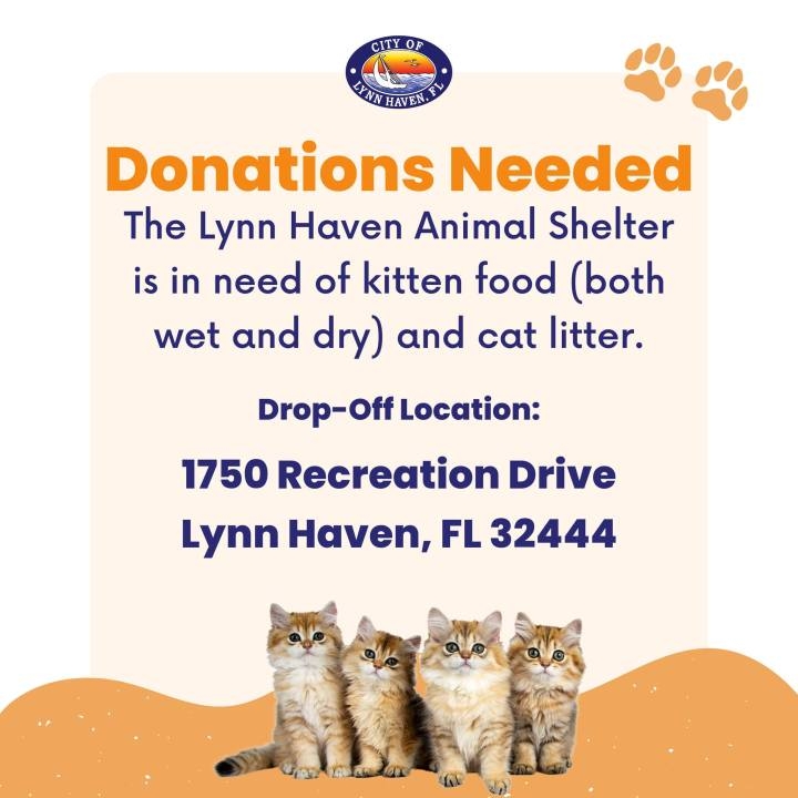 Lynn Haven Animal Shelter seeking donations for kittens and cats