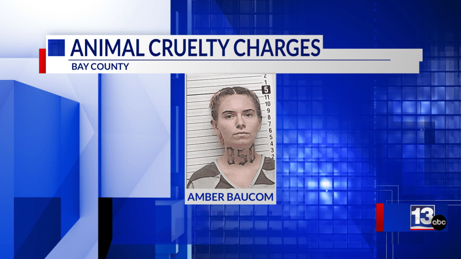 Panama City woman charged with child neglect and animal cruelty