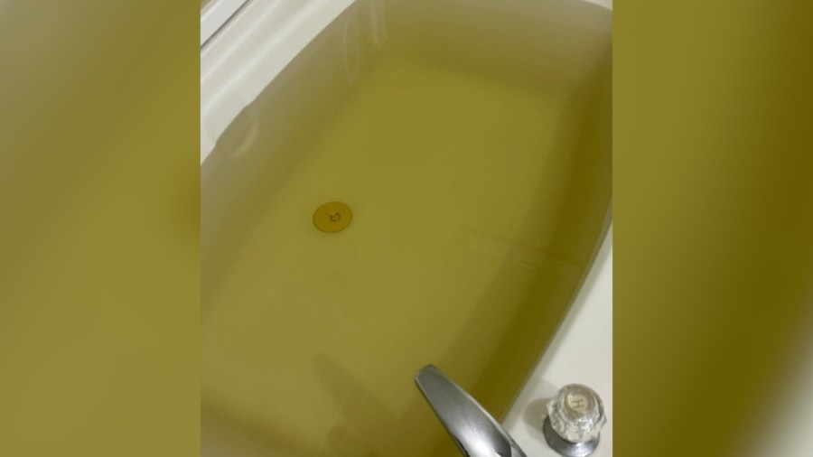 Apalachicola officials address water quality concerns