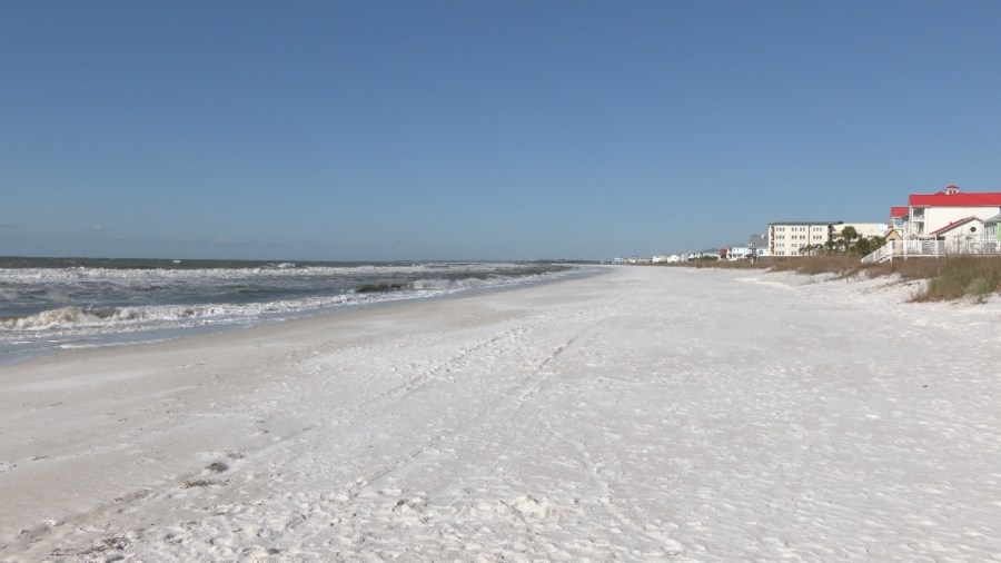 World Oceans Day emphasizes protecting our blue planet's health