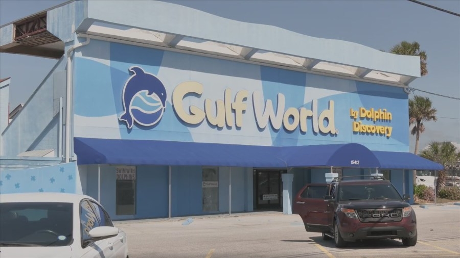 Florida Fish & Wildlife confirm criminal investigation into Gulf World
