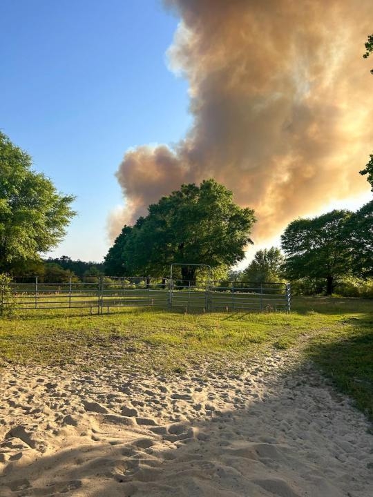 Rapidly spreading brush fire in Walton County prompts evacuations