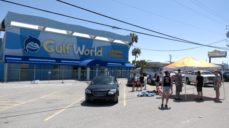 Protest continues as Gulf World dolphin removal is delayed