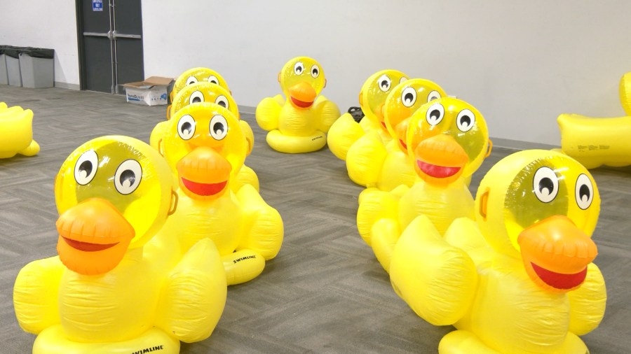 Bay County charity hosts duck races to support community needs