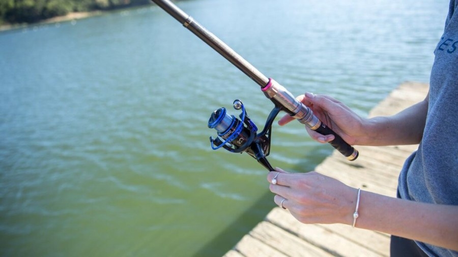 Gulf council to modify shallow-water grouper complex catch & recreational season