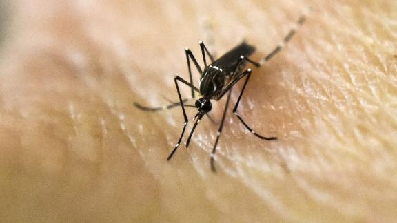 IDPH reports first West Nile positive mosquito pool in 2025