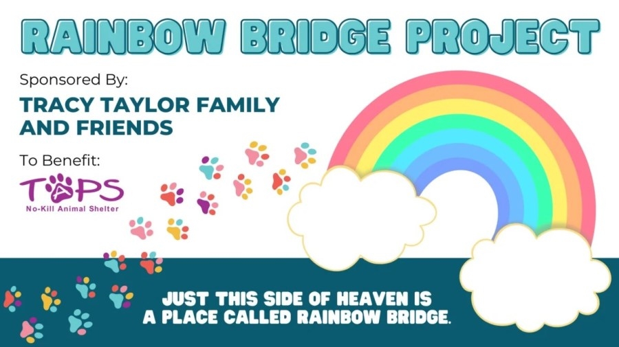 ‘Rainbow bridge' project for TAPS to offer pet owners a place of remembrance
