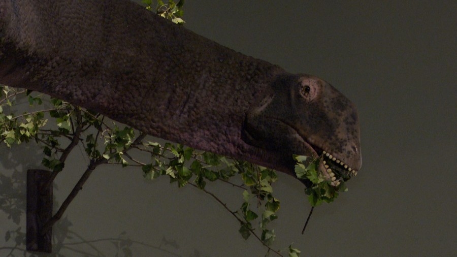 Giant Dinosaurs Take Over Peoria Riverfront Museum