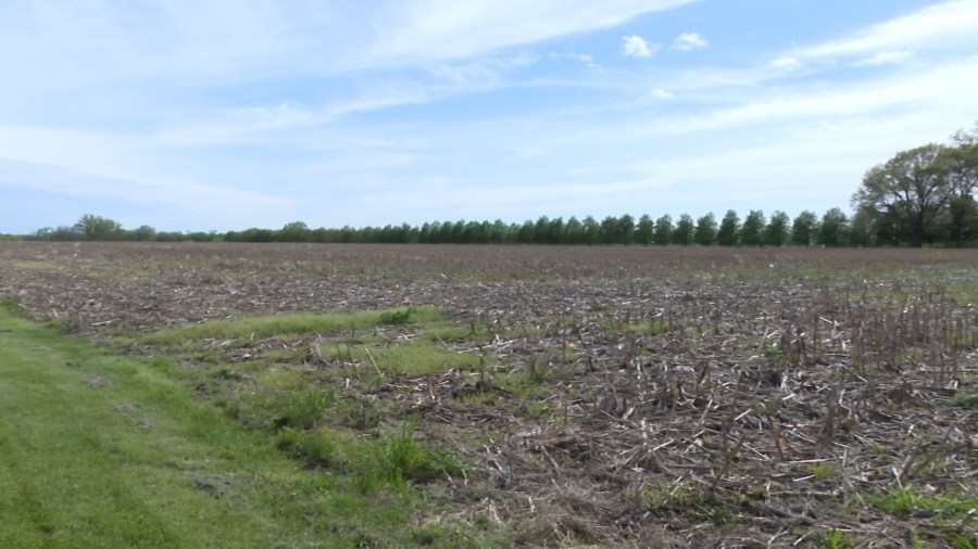 Pekin City Council buying farmland to develop a technology park