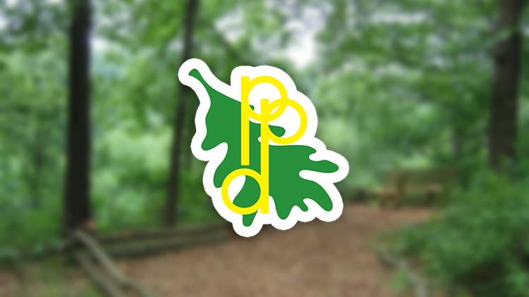 Peoria Park District seek input on new playground design