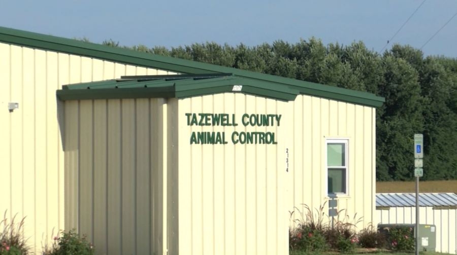 Tazewell County Animal Control low on supplies, seeks donations