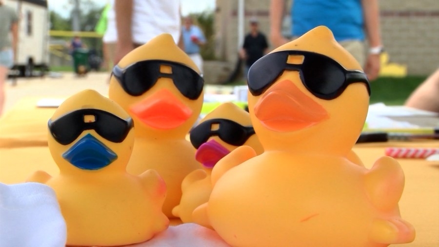 Ducks go on sale Monday for 37th Annual Duck Race benefiting the Center for Prevention of Abuse
