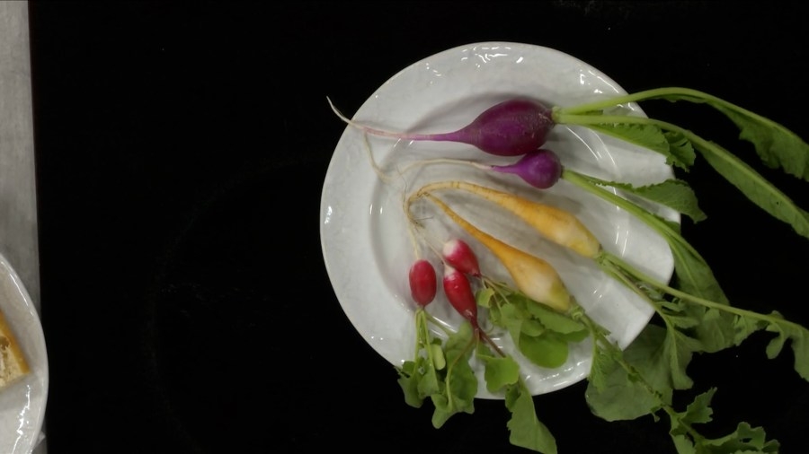 All things radish