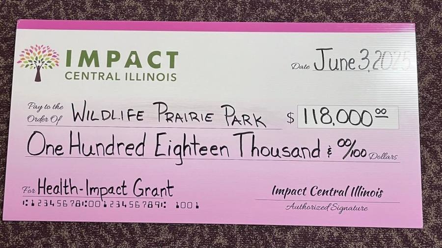 Local nonprofits awarded big grants by Impact Central Illinois