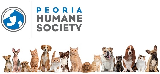 Peoria Humane Society seeks homes for 200+ kittens in need