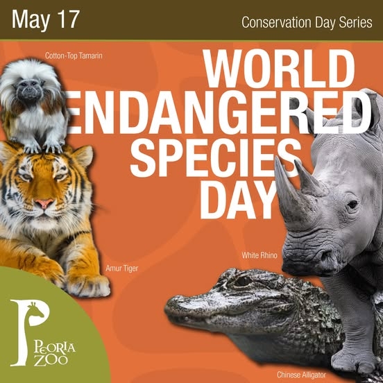 What to know about Endangered Species Day