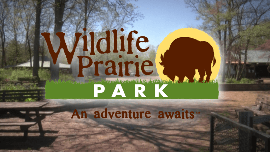 Fish Tagging Program at Wildlife Prairie Park