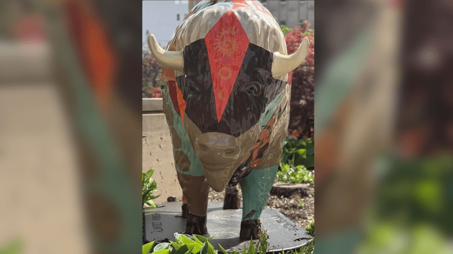 CIProud Vote: What Should the Peoria County Courthouse name its Bison?