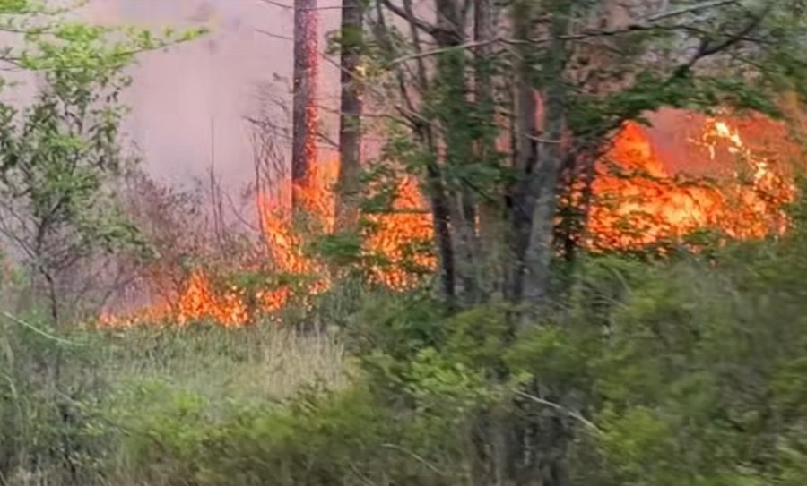 Massive wildfire grows to 1,500 acres near NC coast; Boiling Spring Lakes roads reopen in Brunswick County
