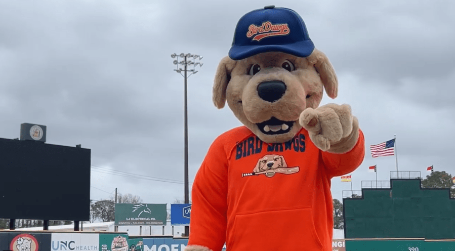 Down East Bird Dawgs unveil new mascot and launch voting for name