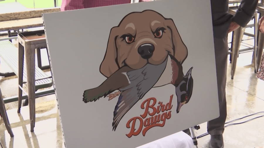 Bird Dawgs drop double-header to Quebec