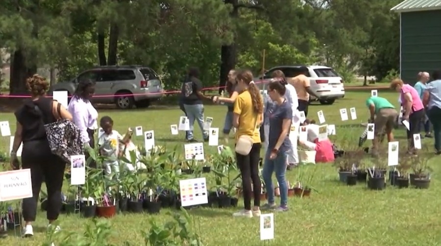 Pitt County Cooperative Extension to host annual plant sale