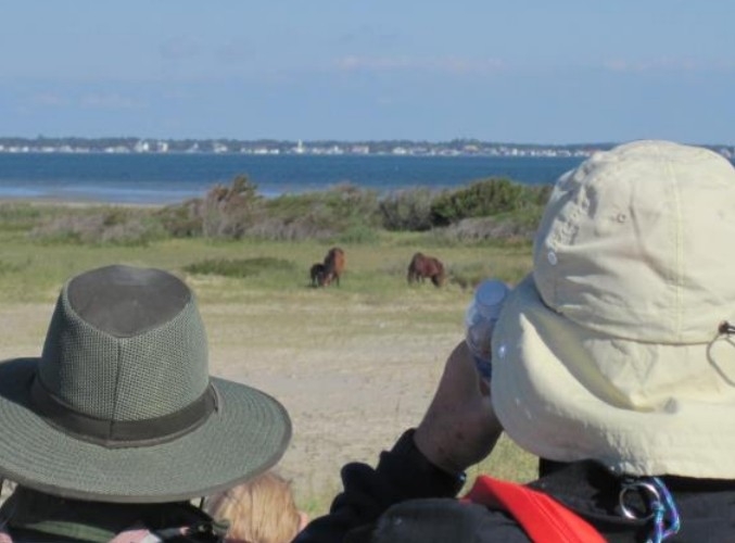 Cape Lookout offers free wild horse program, spots limited