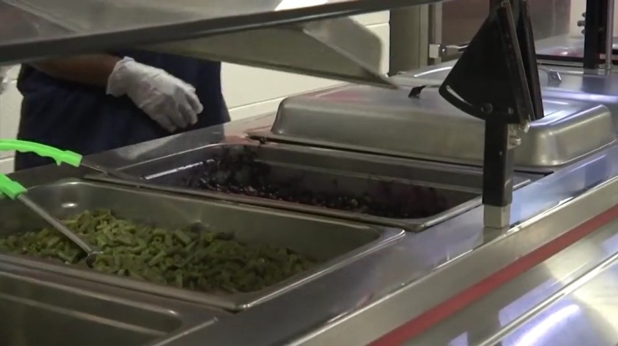 Pitt County Schools to offer free meals this summer