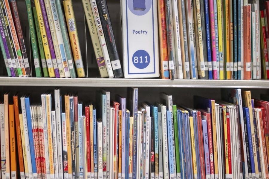Rotary Club of Ending Child Abuse unveils DEI Little Free Library in Jacksonville