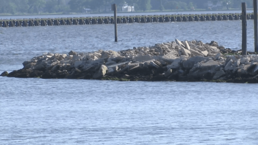 Environmental officials warn of high bacteria levels in Pantego Creek