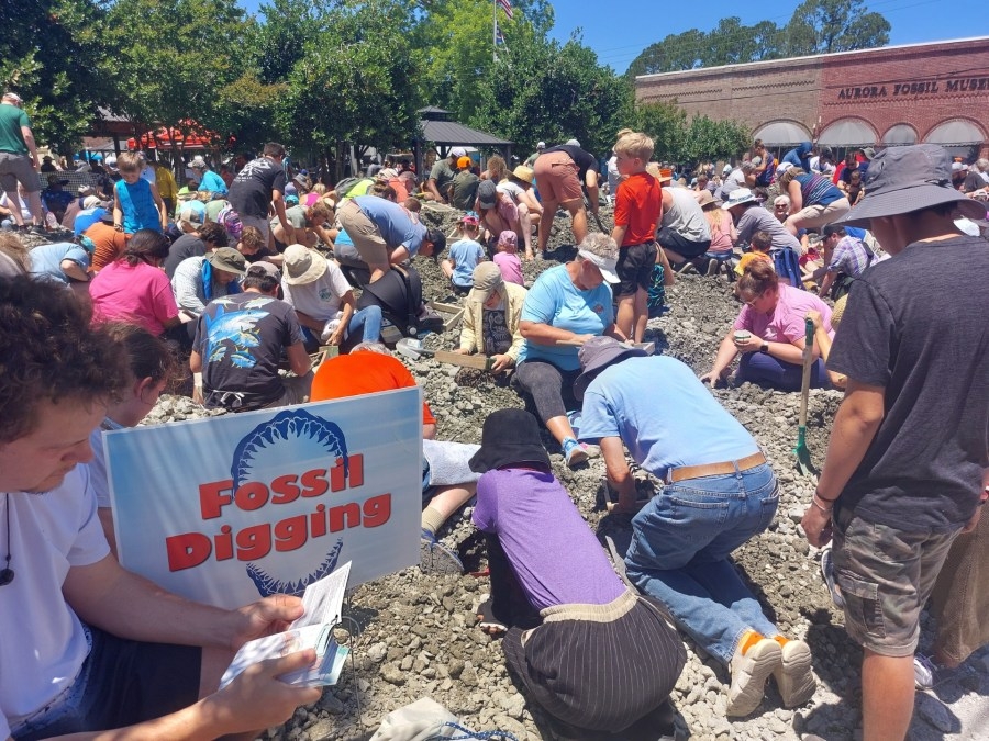 Aurora holds annual Fossil Festival this weekend