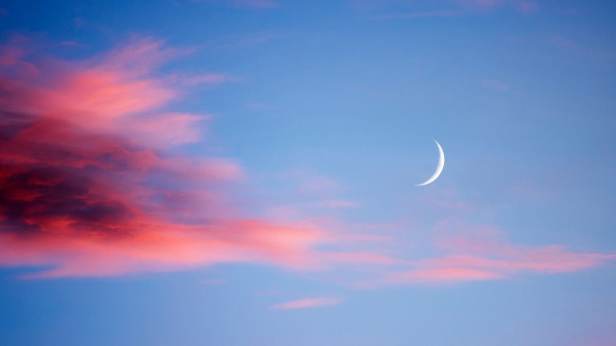 The Leo New Moon Is Here! See What It Means for Your Sign